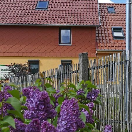 Hainich-Zeit Rodeberg Esterno foto