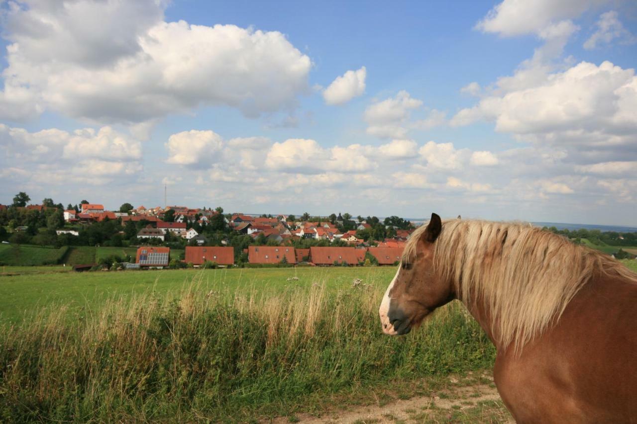 Hainich-Zeit Rodeberg Esterno foto